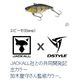 DSTYLE / �ǥ��������� �ƥ�������50��TN50 TypeD RS