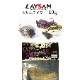 LAYSAM / �쥤���ࡡGLIM SWIMMER/ ����ॹ���ޡ���10�硡 �ڴ��ָ������̲��ʡ�