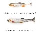 IMAKATSU/���ޥ��ġ��ϥɥ�ե��åȥե饤 ���饹�ȥޡ���2.8�������Fecoǧ���