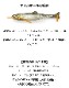 IMAKATSU/���ޥ��ġ��ϥɥ�ե��åȥե饤 ���饹�ȥޡ���2.8�������Fecoǧ���