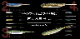 Fish Arrow/�ե��å��奢������Flash-J 3��������ե�å��奸����3����� �ڴ��ָ������̲��ʡ�
