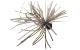 DSTYLE/���ǥ��������롡D-JIG0.8�硡�ǥ�������0.8��