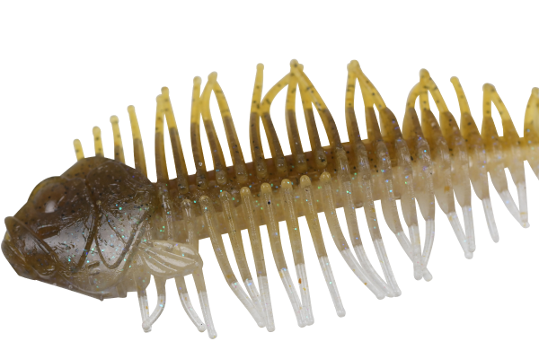 DSTYLE / �ǥ���������  �����饫�� 4���������FECOǧ��ۡ�