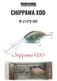 NISHINE / �˥��ͥ륢���������CHIPPAWA XDD / ���åѥ�XDD