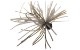 DSTYLE/���ǥ��������롡D-JIG1.8�硡�ǥ�������1.8��