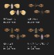 JACKALL / ����å��롡�ˡ��ɥ��������� ��FECOǧ���