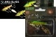 NORIES/���Υ꡼����TG��JAKA��BLADE���硡���󥰥��ƥ󡡥��㥫�֥졼��9g����FECOǧ���