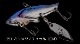 NORIES/���Υ꡼����TG��JAKA��BLADE12�硡���󥰥��ƥ󡡥��㥫�֥졼��12g (FECOǧ��)