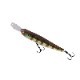 JACKALL/����å��롡RISER��BAIT007R���饤�����٥���007R
