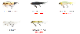 IMAKATSU/���ޥ��ġ��٥ӥ��� Wake / ��������������������ɥ��顼