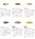 BOTTOMUP / �ܥȥॢ�åס�FLUMMY �ե롼�ߡ� 7.0��