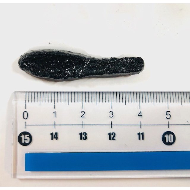 ���ȥۥ��󡡤֥꡼���ʾ���/�֥꡼���ʾ��ˡ����ԡ�����FECO��