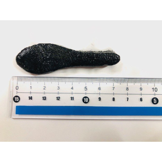 ���ȥۥ��󡡤֥꡼��/�֥꡼�������ԡ�����FECO��