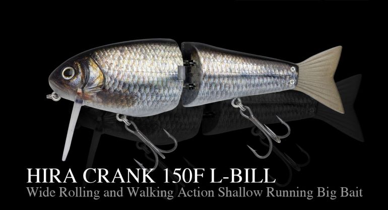 �Υ꡼�����ҥ饯���150F L�ӥ롡