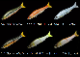 ���� ���祤��ƥåɥ������� 148��Type-15SS �ڴ��ָ������̲��ʡ�