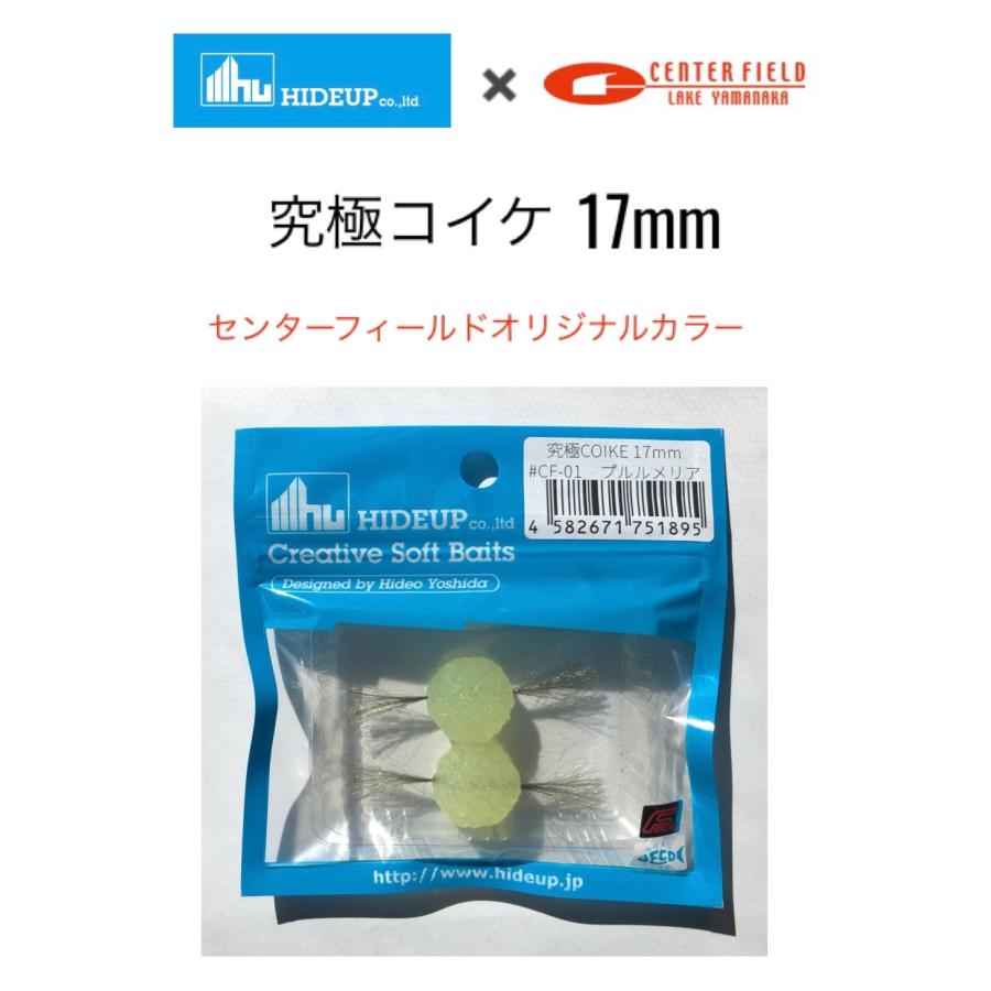 HIDEUP/ハイドアップ 究極コイケ 17mm センターフィールド