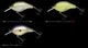 NORIES/�Υ꡼�����ޥ�Υߥե�å�60