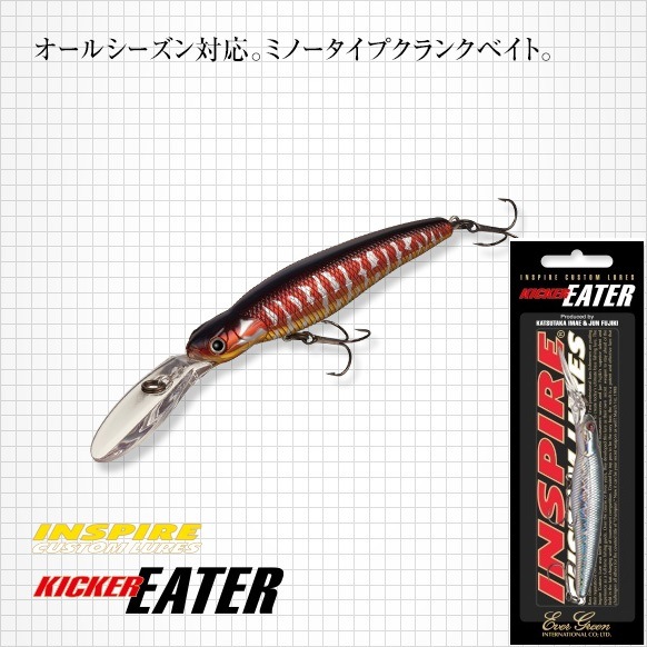 EVERGREEN/���С����꡼�󡡥��å������������������ڥ��