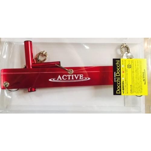 ACTIVE/�����ƥ��֡��ɤä��ɤä�(������ŷ��)