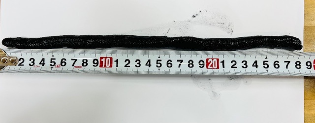 WILD��PORK/�磻��ɥݡ������磻��ɥ��֥��FECOǧ���