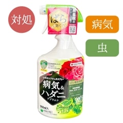 ⥹ȥåץRץ졼900ml