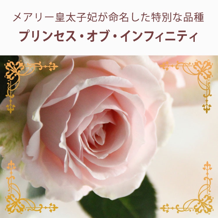 送料無料】母の日 天皇杯受賞！メアリー皇太子妃命名の薔薇 プリンセス