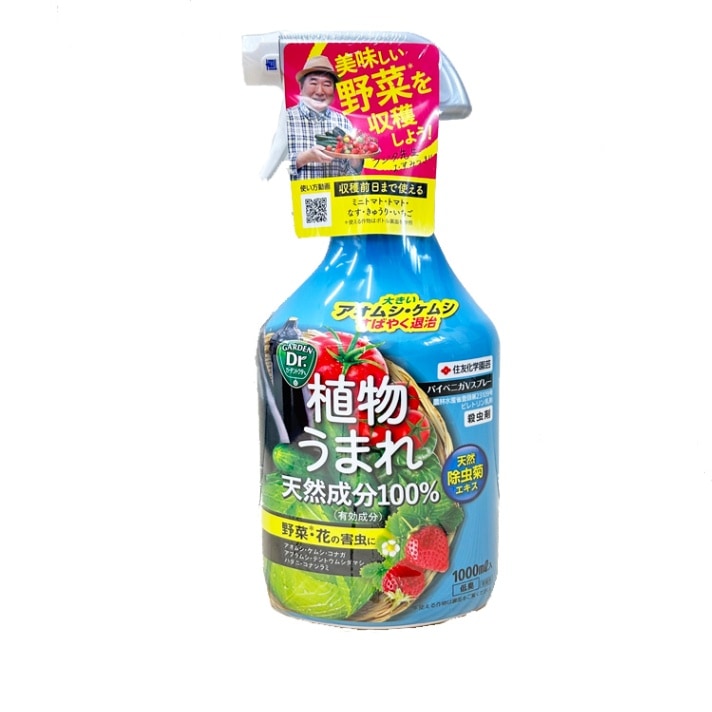 本物保证天然ベトナムじんー沈香ネックレス 芽荘むし虫もれ漏れ(収蔵ひん品) 本物保证天然ベトナムじんー沈香ネックレス 芽荘 て手をくし串