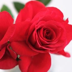 ���ޡ���