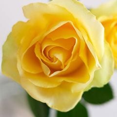 ��������������ե��˥ƥ�