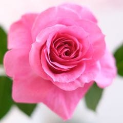 �����������ե������С�