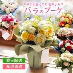 ���Τޤ޾���� �Х�Υ֡��� �������������͡������ߤΤ��Ϥ����б����֤ϡڡ�