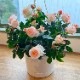 ���٤�Ƥ����ۡ͡�����̵���������300ȭ���ꡪ ��֥꡼�⥢ ̴�Υϥ󥮥󥰻�Ω��