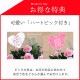���٤�Ƥ����ۡ͡�����̵���������300ȭ���ꡪ ��֥꡼�⥢ ̴�Υϥ󥮥󥰻�Ω��