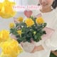 ������̵��������� ŷ���ռ��ޡ���ʡ�Υ��꡼���� 6�� �����ԥ����������ڿ��ʼ磻������������ե��ˡۡڲֿ����Ѳ��ե���������Ϥ������ؤ��繥ɾ��