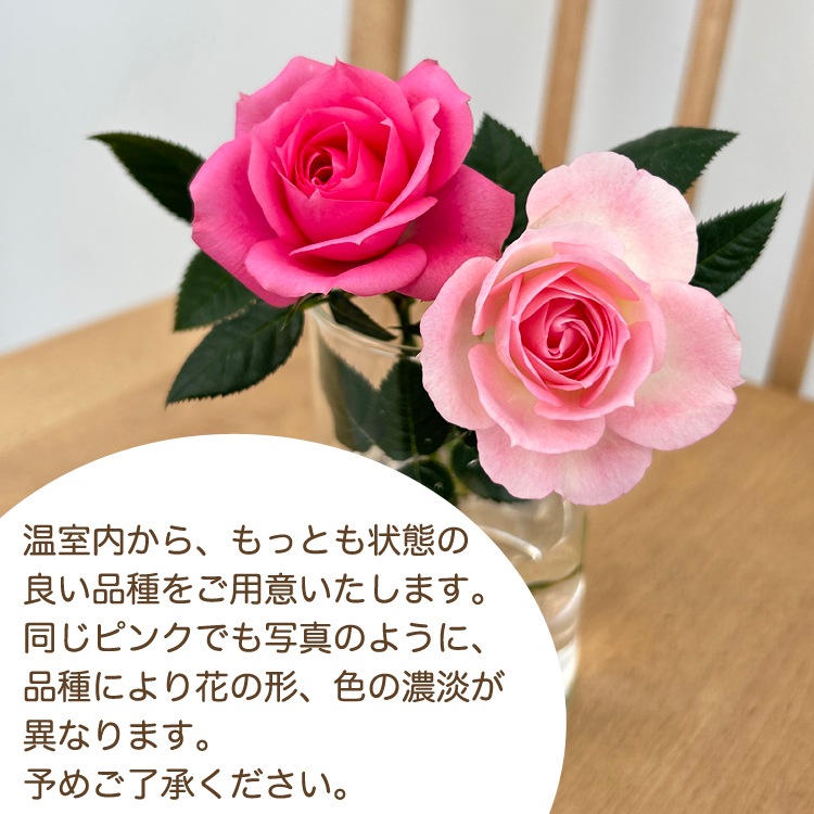 ������̵���ۥߥ˥Х�ȭ��������ʡ�Υ��꡼���������Х�