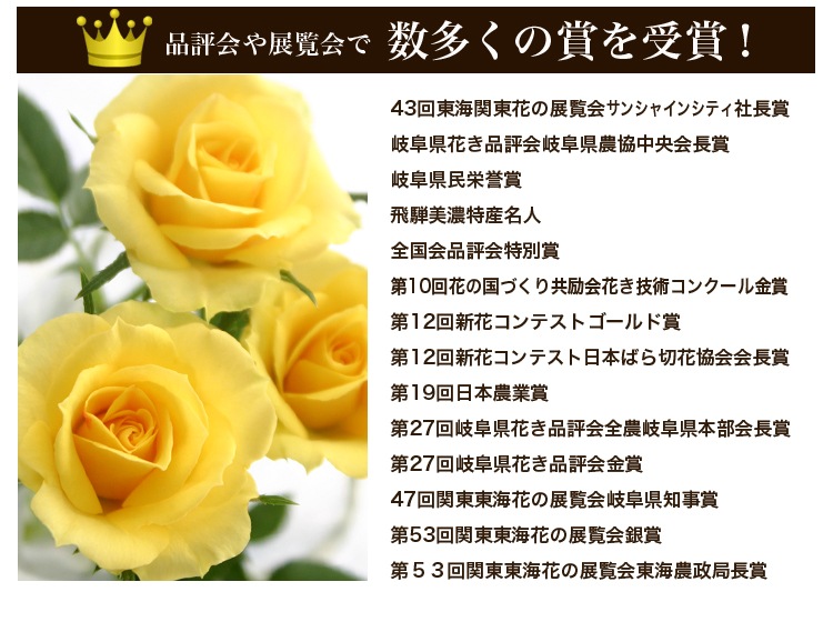 ������̵���ۥߥ˥Х�ȭ��������ʡ�Υ��꡼���������Х�