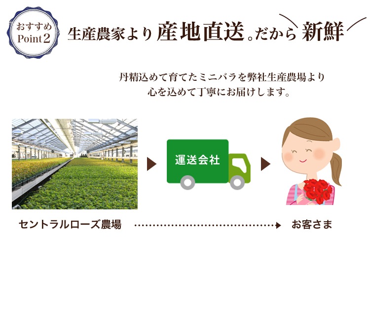 ������̵���ۥߥ˥Х�ȭ��������ʡ�Υ��꡼���������Х�