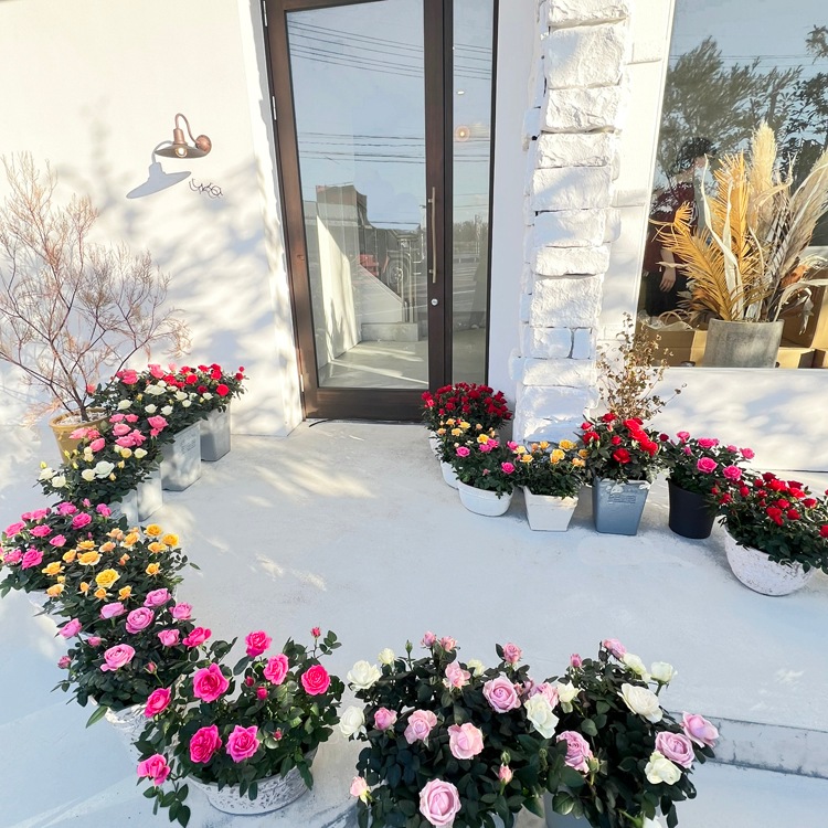 ������̵���ۥߥ˥Х�ȭ��������ʡ�Υ��꡼���������Х�