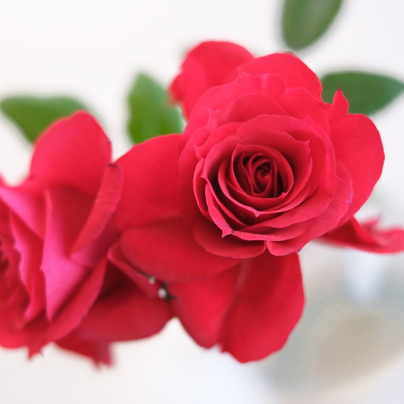 ���ޡ���