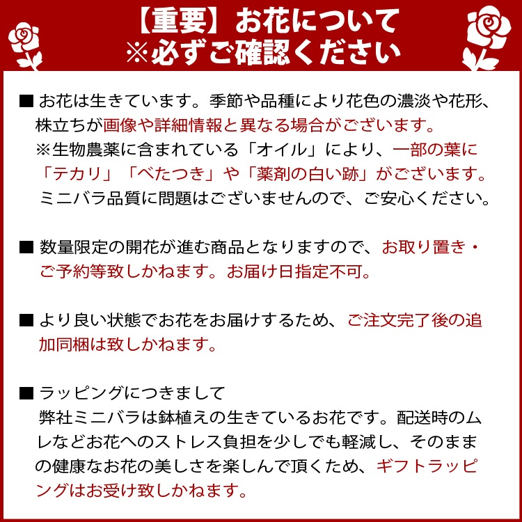 ���ޡ���