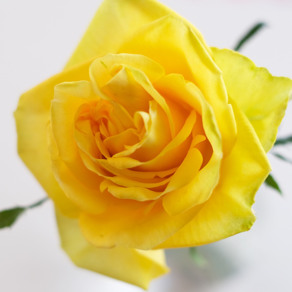 ��������������ե��˥ƥ�