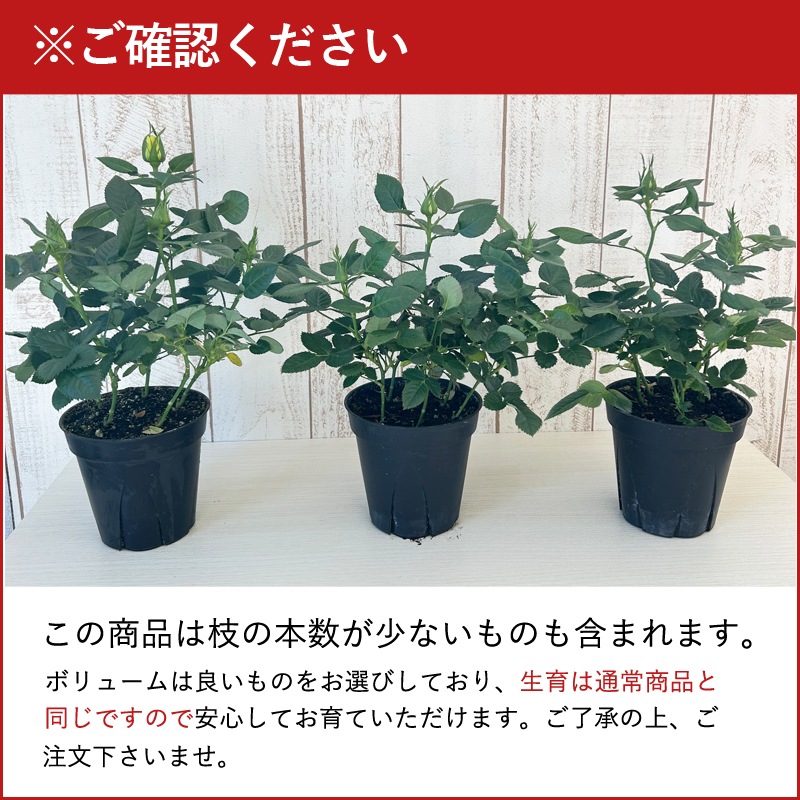 ��������������ե��˥ƥ�