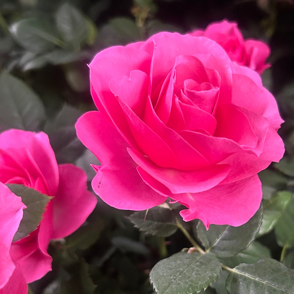 �����������ե������С�