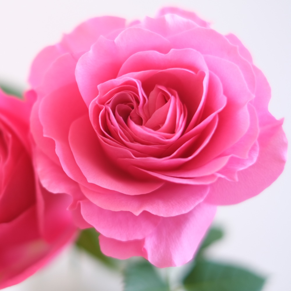 �����������ե������С�