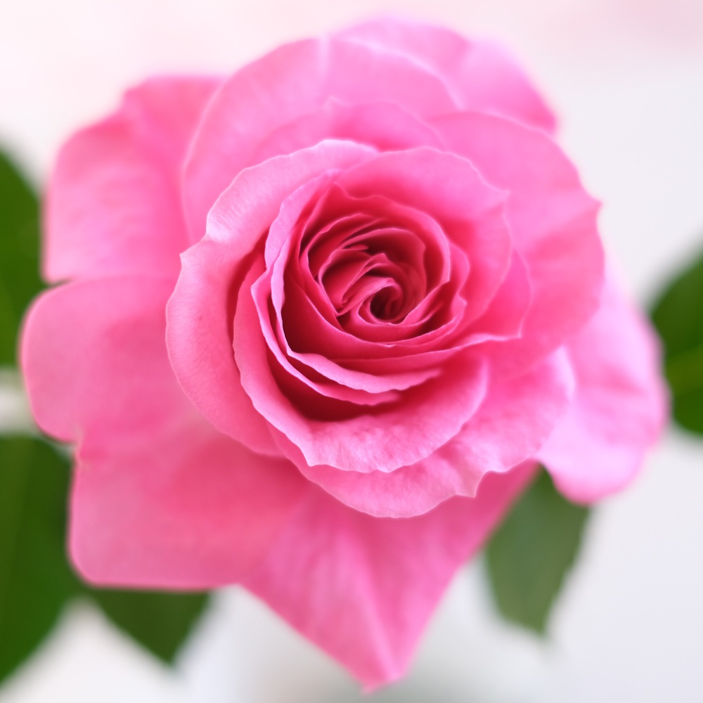 �����������ե������С�