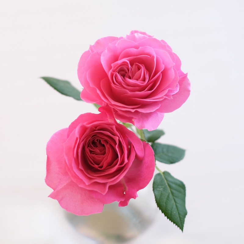 �����������ե������С�