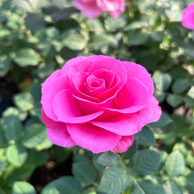 �����������ե������С�