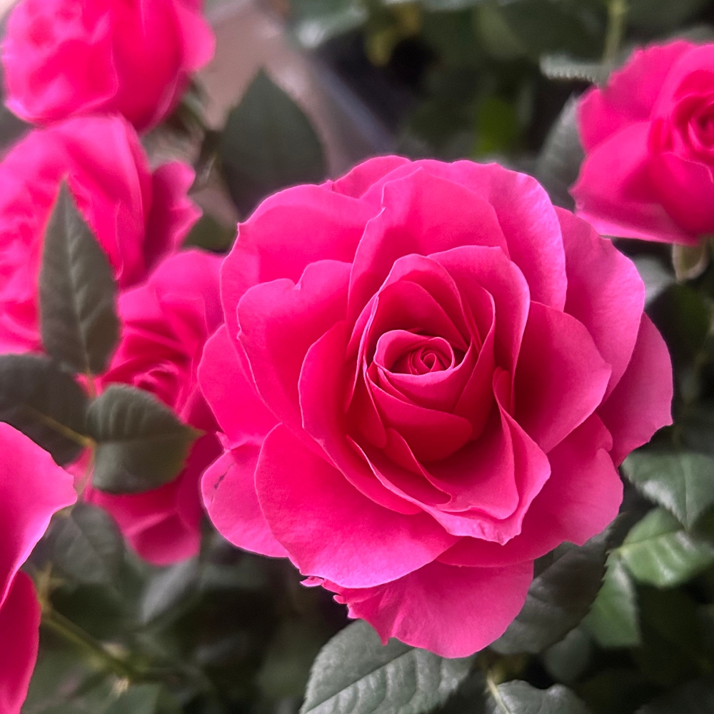 �����������ե������С�