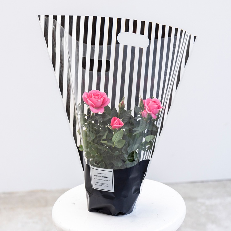 ̵ۥߥ˥Х5ȭåȡ󥯥