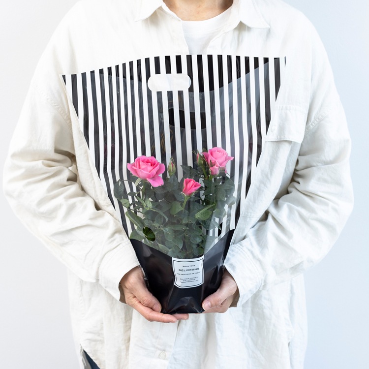 ̵ۥߥ˥Х5ȭåȡ󥯥